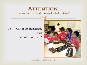 Slide featuring the following text: Attention: Do we know what it is and what it does?